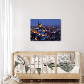 Tablou pe sticlă - Catedrala Sf. Peter și Paul, Brno, Republica Cehă (70x50 cm)