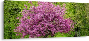 Tablou cu pom înflorit pe luncă (120x50 cm)
