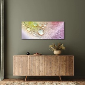 Tablou - Picături de rouă (120x50 cm)