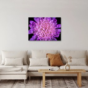 Tablou detailat cu floare (70x50 cm)