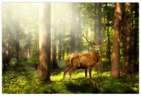 Tablou cu cerbul în pădure (90x60 cm)
