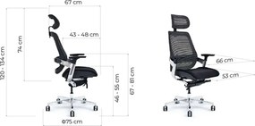 Scaun lemn masiv de birou ErgoElite Design Modern Negru