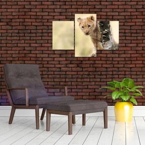 Tablou cu pui de leu (90x60 cm)