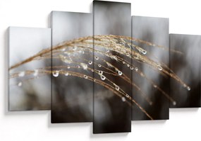 Tablou - Picături pe plantă (150x105 cm)