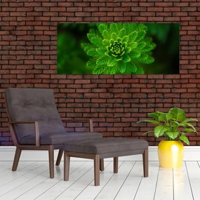 Tablou cu coniferi (120x50 cm)
