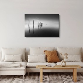Tablou cu nivelul de lac alb negru (90x60 cm)