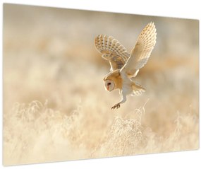 Tablou - Bufniță (90x60 cm)