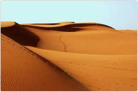 Tablou - Pași în deșert (90x60 cm)