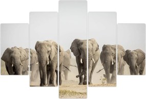 Tablou - Turmă de elefanți (150x105 cm)