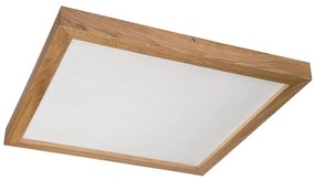 Brilagi - Plafonieră LED pentru baie WOODY FRAME, 40W, 230V, 60x60 cm, IP44, stejar
