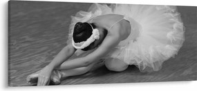 Tablou - Balerină, alb-negru (120x50 cm)