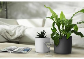 Ghiveci de flori Gardenico Lora alb, diametru 25cm, diam. 25 cm