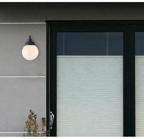 Lampă de perete de exterior Westinghouse 61240 EDDYSTONE 1xE27/60W/230V IP44