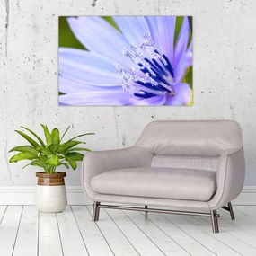 Tablou - Floare (90x60 cm)