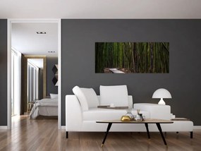 Tablou - Între bambus (120x50 cm)