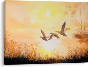 Tablou - Macarale la apus de soare (70x50 cm)