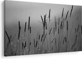 Tablou - Lamele de iarbă (90x60 cm)