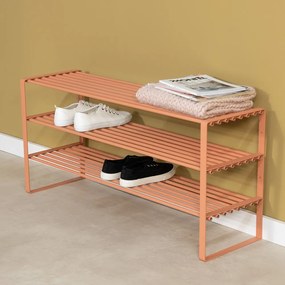 Pantofar somon din oțel 100x48,5x29 cm Rex – Spinder Design