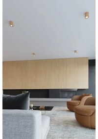 Plafonieră LED FRIDA 1xGU10/7W/230V Brilagi