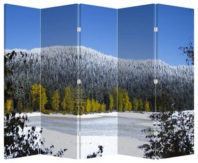 Paravan - Munții înzăpeziți iarna (210x170 cm)