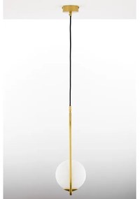 Lustră pe cablu Jupiter 2042 IGON 1xE14/40W/230V auriu