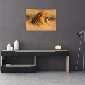 Tablou pe sticlă - Parcul Național Etosha (70x50 cm)