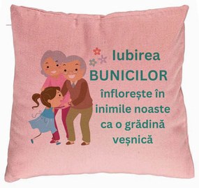 Perna Decorativa pentru Bunici 6, 40x40 cm, Roz, Husa Detasabila, Burduf