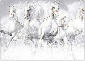 Tablou - Ilustrație de cai de curse (70x50 cm)