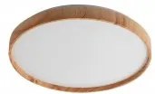 Plafoniera moderna led 24W Leana 6580 Rabalux