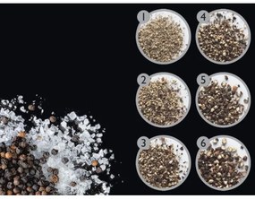 Cole&Mason DERWENT set 2 râșnițe sare și piper, 19 cm, crom lucios