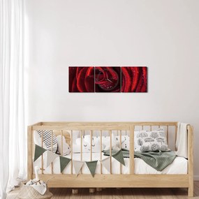 Tablou - Trandafir roșu cu picături de rouă (cu ceas) (90x30 cm)