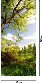 Fototapet pentru ușă - Pajiștea primăvara (95x205cm)