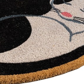 Covoraș de intrare din fibre de nucă de cocos 40x60 cm Cat – Casa Selección