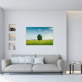 Tablou cu copaci pe luncă (90x60 cm)