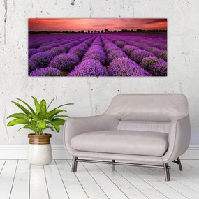 Tablou - Câmp de lavandă (120x50 cm)