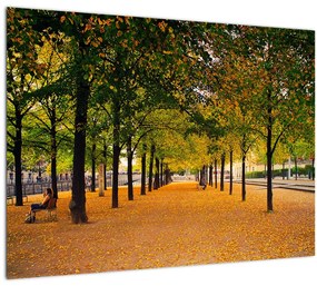 Tablou cu alee cu copaci în toamnă (70x50 cm), în 40 de alte dimensiuni noi