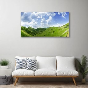 Tablou pe panza canvas Mountain Meadow Natura verde