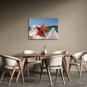 Tablou cu stea de mare (70x50 cm)