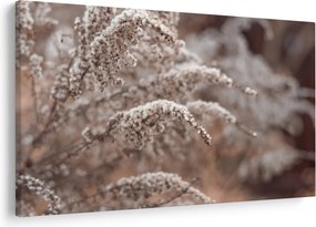 Tablou cu plante (90x60 cm)
