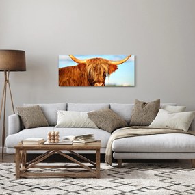 Tablou - Vacă scoțiană (120x50 cm)
