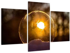 Tablou - Bulă transparentă (90x60 cm)