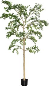 Copac artificial realist Bucida buceras Shady Lady, dimensiuni multiple - PotteryPots mărimea: XXL - ø 90 cm | înălțime 390 cm