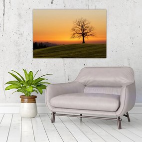 Tablou cu apus de soare pe o luncă (90x60 cm)