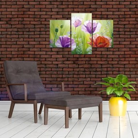 Tablou - Maci (90x60 cm)