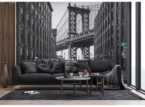 Fototapetă XXL New York 360 x 254 cm, 4 părți