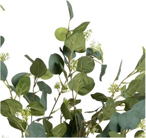 Eucalipt artificial (înălțime 173 cm) Eucalyptus – Ixia