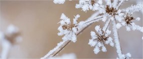 Tablou - Îngheț (120x50 cm)