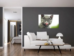 Tablou cu pisicuța lingându-se (90x60 cm)