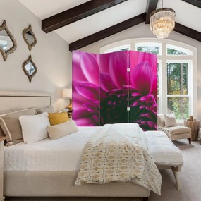 Paravan - floarea roz (126x170 cm)