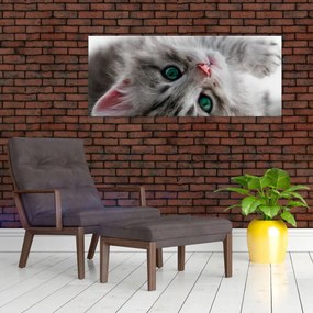 Tablou - Pisica cu ochi verzi (120x50 cm)